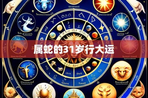 属蛇的31岁行大运