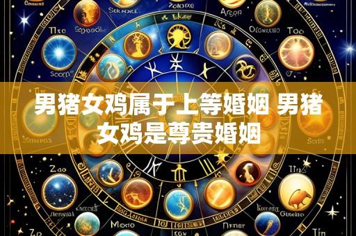 男猪女鸡属于上等婚姻 男猪女鸡是尊贵婚姻