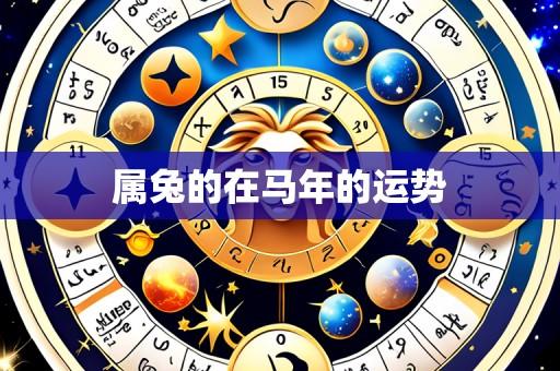属兔的在马年的运势