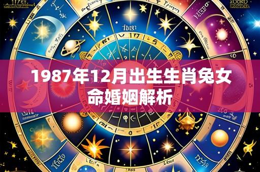 1987年12月出生生肖兔女命婚姻解析
