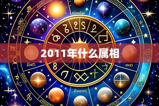 2011年什么属相
