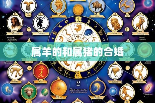 属羊的和属猪的合婚