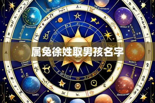 属兔徐姓取男孩名字