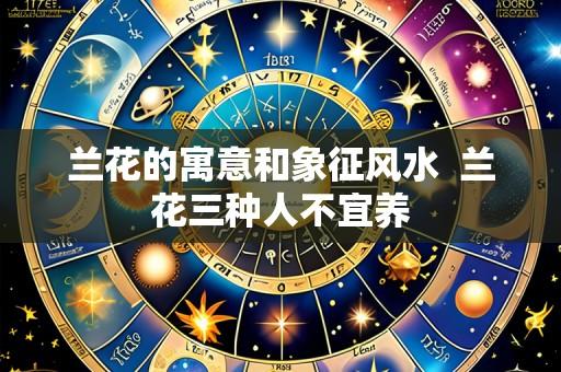 兰花的寓意和象征风水  兰花三种人不宜养