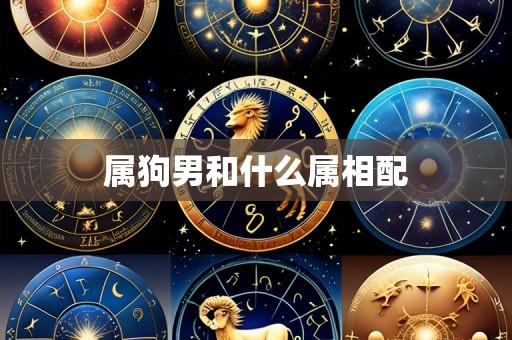 属狗男和什么属相配