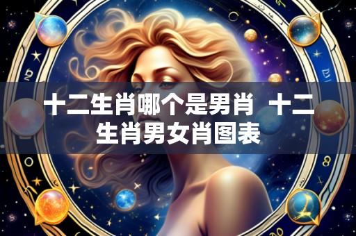 十二生肖哪个是男肖 十二生肖男女肖图表