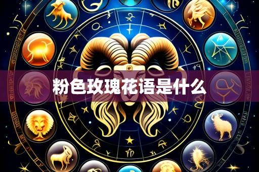 粉色玫瑰花语是什么