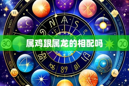 属鸡跟属龙的相配吗