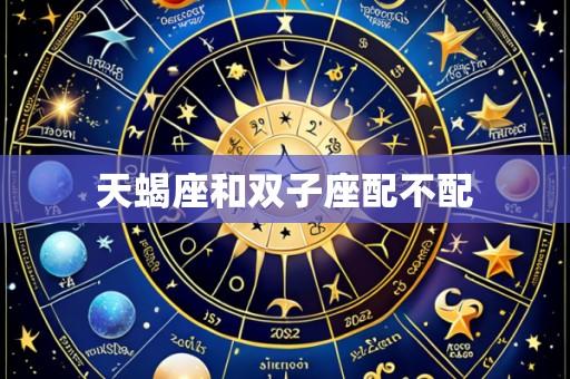天蝎座和双子座配不配