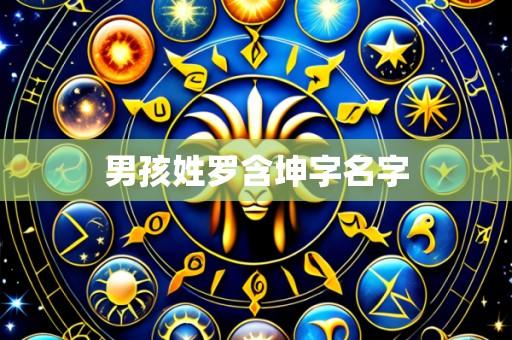 男孩姓罗含坤字名字