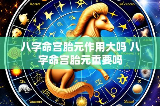 八字命宫胎元作用大吗 八字命宫胎元重要吗