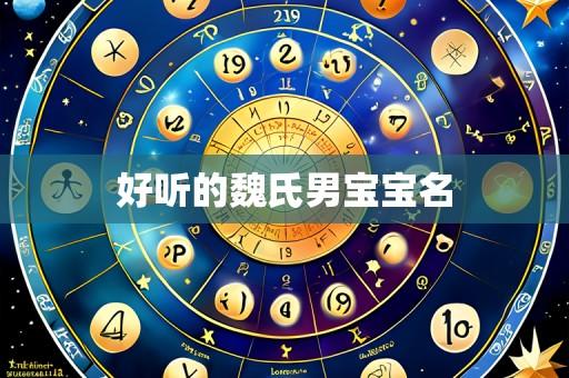 好听的魏氏男宝宝名
