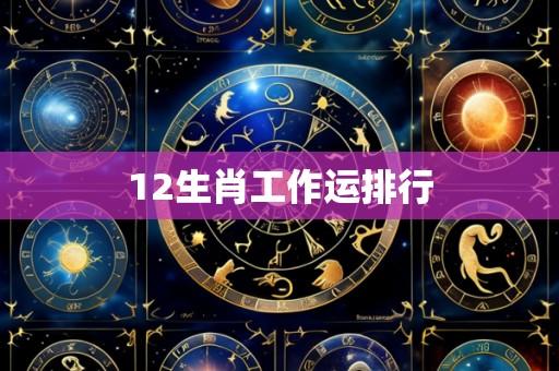 12生肖工作运排行
