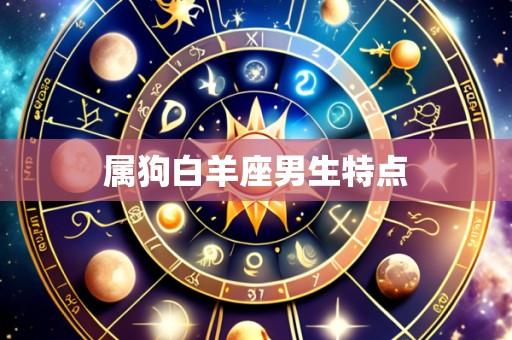 属狗白羊座男生特点