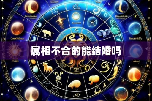 属相不合的能结婚吗