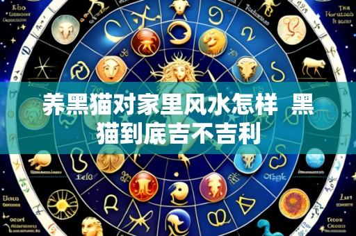 养黑猫对家里风水怎样  黑猫到底吉不吉利