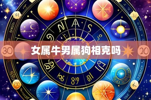 女属牛男属狗相克吗