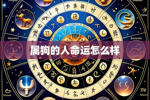 属狗的人命运怎么样