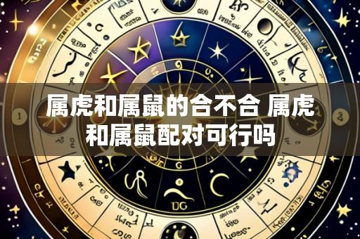 属虎和属鼠的合不合 属虎和属鼠配对可行吗
