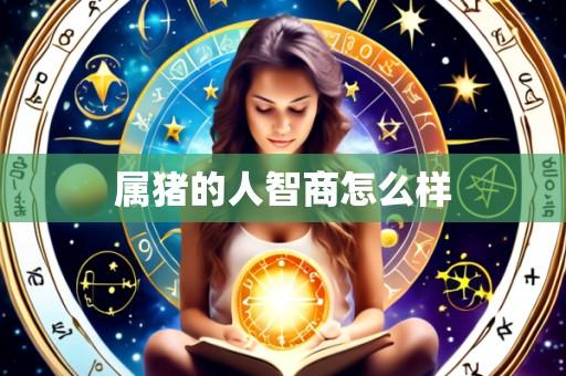 属猪的人智商怎么样