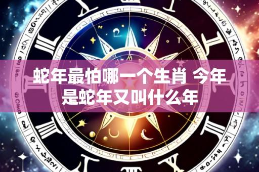 蛇年最怕哪一个生肖 今年是蛇年又叫什么年