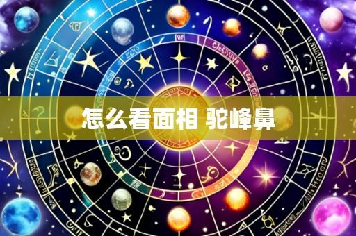 怎么看面相 驼峰鼻