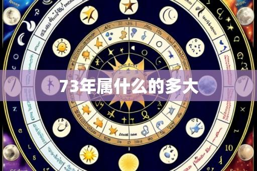 73年属什么的多大