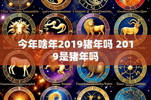 今年啥年2019猪年吗 2019是猪年吗