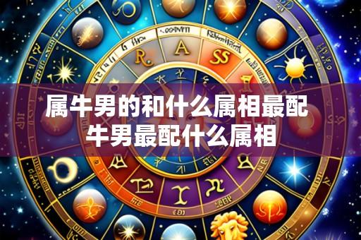 属牛男的和什么属相最配 牛男最配什么属相