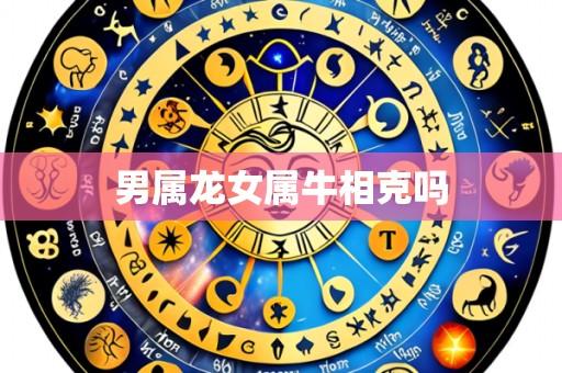 男属龙女属牛相克吗