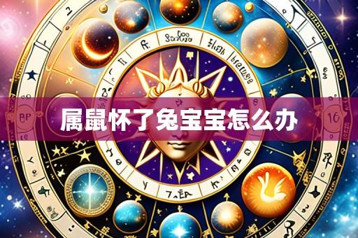 属鼠怀了兔宝宝怎么办