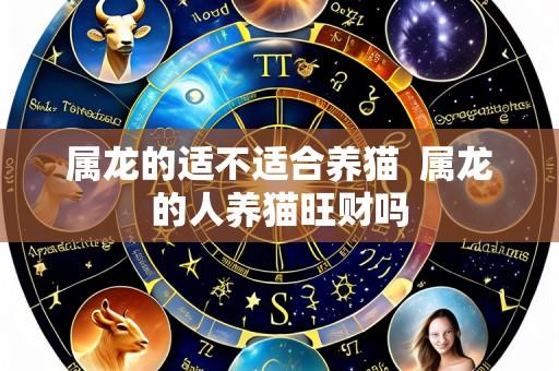 属龙的适不适合养猫 属龙的人养猫旺财吗