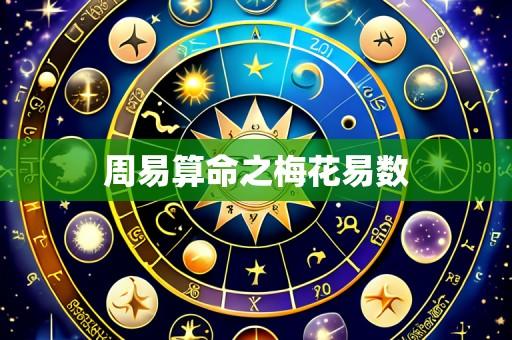 周易算命之梅花易数