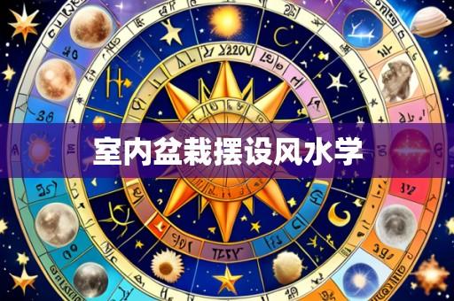 室内盆栽摆设风水学