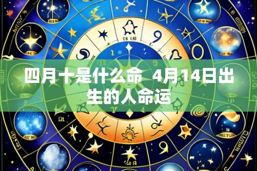 四月十是什么命  4月14日出生的人命运