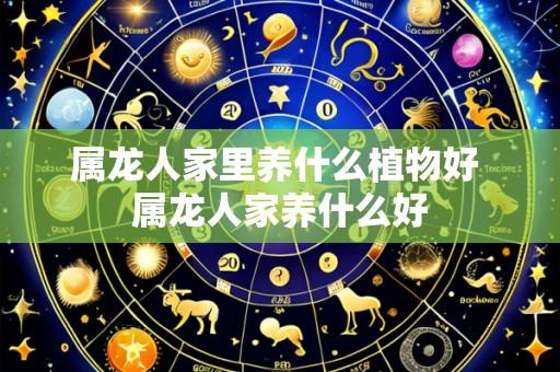 属龙人家里养什么植物好 属龙人家养什么好