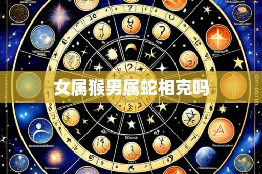 女属猴男属蛇相克吗