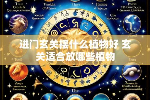 进门玄关摆什么植物好 玄关适合放哪些植物
