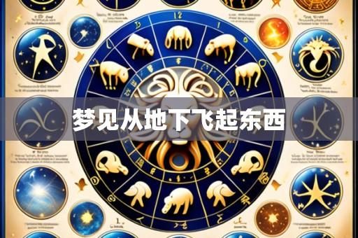 梦见从地下飞起东西