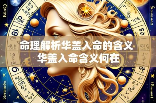 命理解析华盖入命的含义 华盖入命含义何在