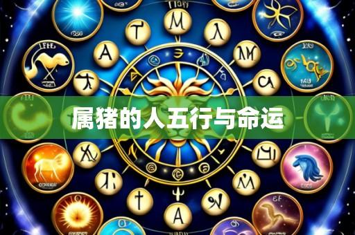 属猪的人五行与命运