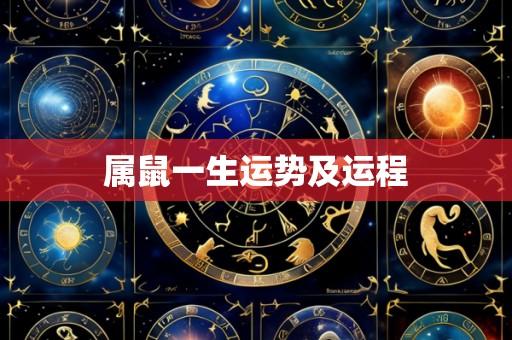 属鼠一生运势及运程