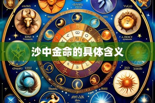 沙中金命的具体含义