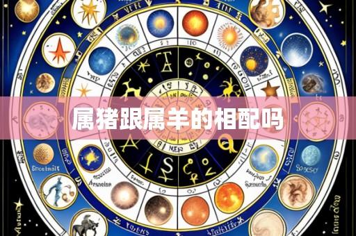 属猪跟属羊的相配吗