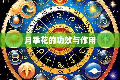 月季花的功效与作用
