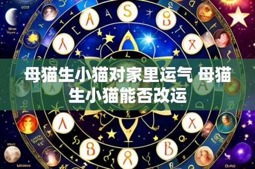 母猫生小猫对家里运气 母猫生小猫能否改运