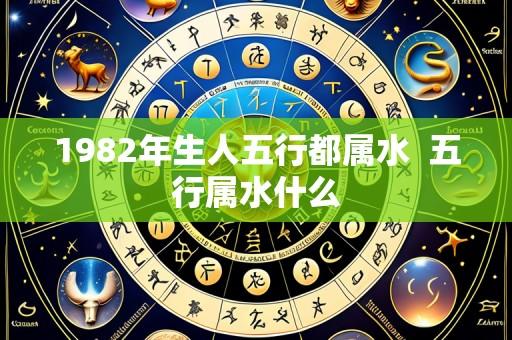 1982年生人五行都属水 五行属水什么