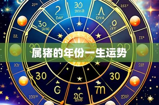 属猪的年份一生运势