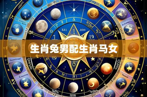 生肖兔男配生肖马女