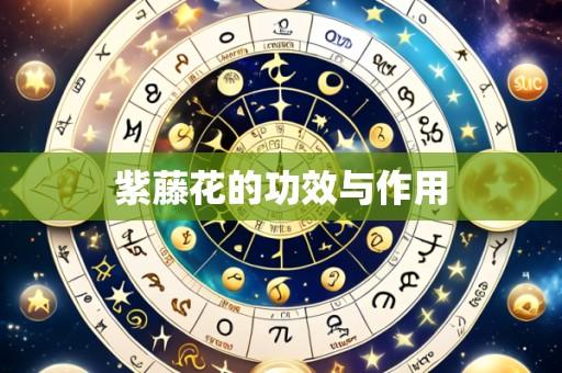 紫藤花的功效与作用